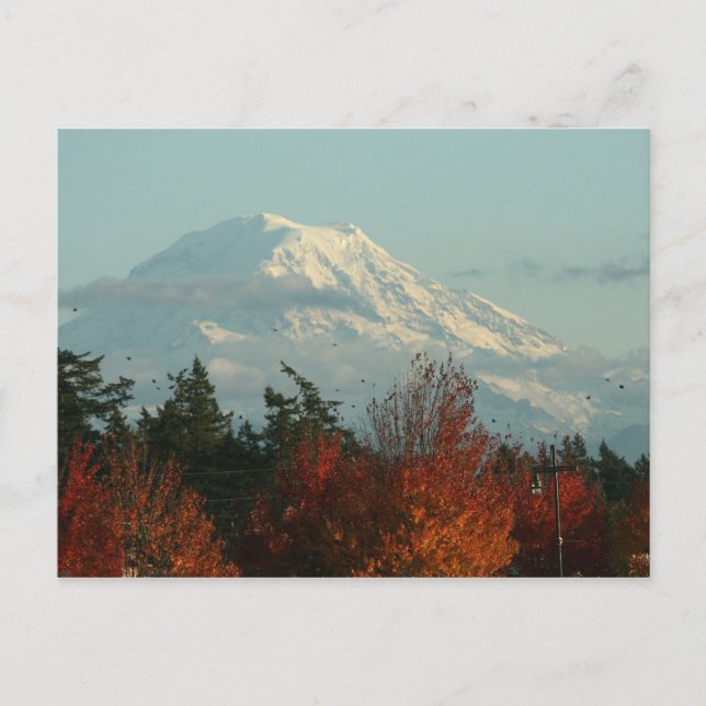 Postkarte: Herbst Mt. Rainier Postkarte (Vorderseite)