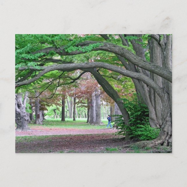 Postkarte: Historisches Grotte im Kissena Park Postkarte (Vorderseite)