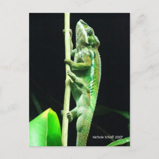 Postkarte hoch und weg