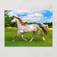 Postkarte "Holly On the Move"