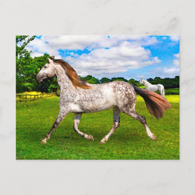 Postkarte "Holly On the Move" (Vorderseite)