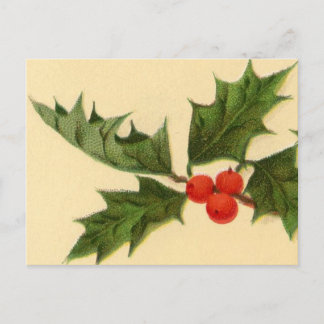 Postkarte: Holly Sprig Postkarte