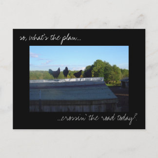 Postkarte "Hühnerpläne" für das Foto