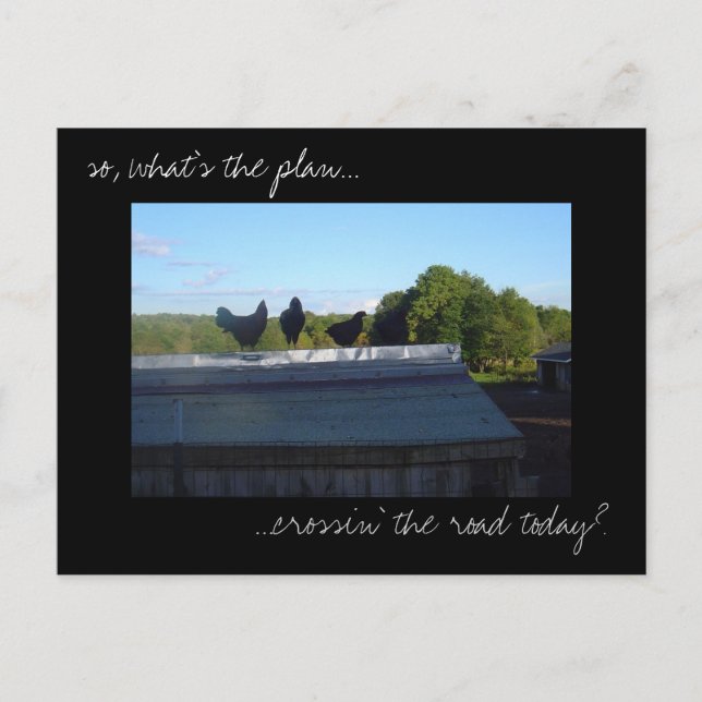 Postkarte "Hühnerpläne" für das Foto (Vorderseite)