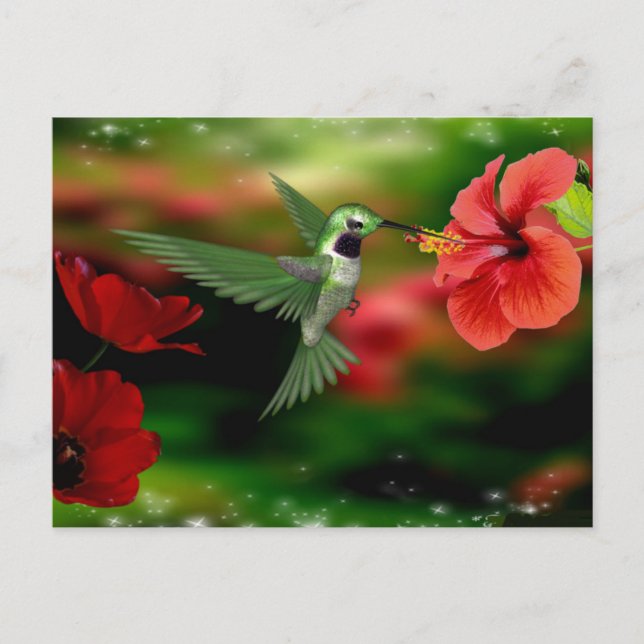 Postkarte Hummingbird (Vorderseite)