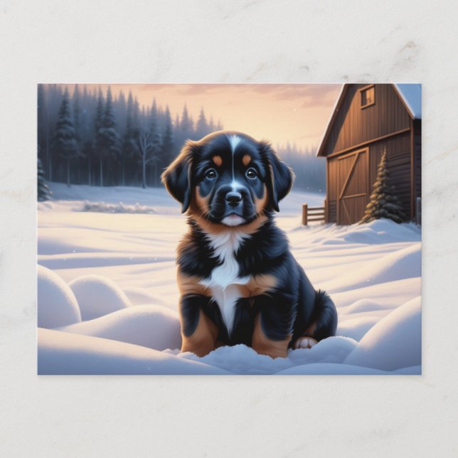 Postkarte Hund Serie 6 07 (Vorderseite)