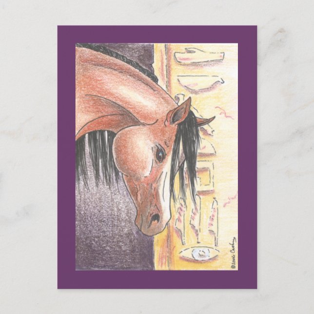 Postkarte "Ibn Denah" (Vorderseite)