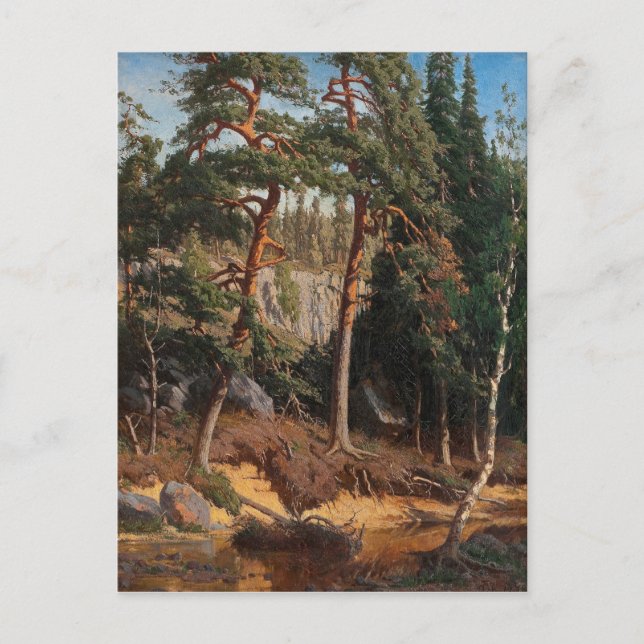 Postkarte "Im Wald" (Vorderseite)