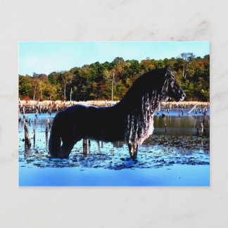 Postkarte "In Marsh"