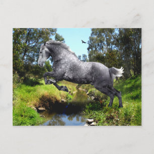 Postkarte "Jumping the Creek"