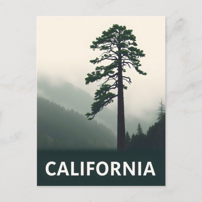 Postkarte Kalifornien (Vorderseite)