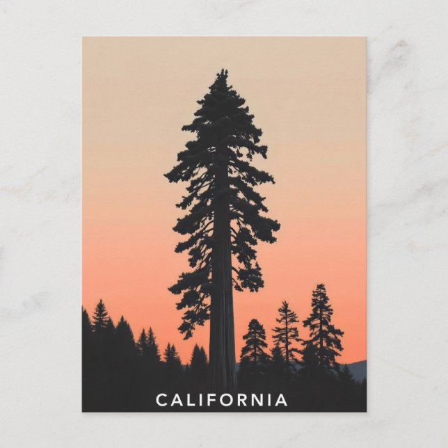 Postkarte Kalifornien (Vorderseite)