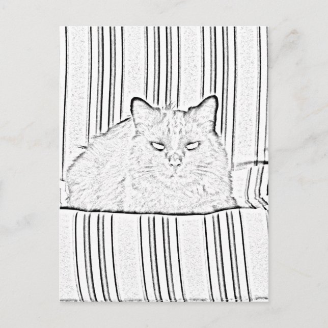 Postkarte - Katze auf gestreiftem Stuhl zur Farbe (Vorderseite)