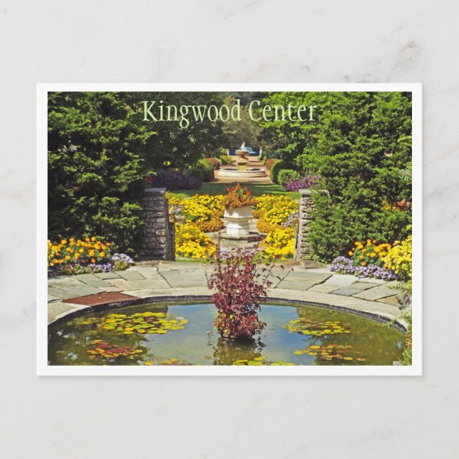 POSTKARTE, "KINGWOOD GARDENS/SEE OF GOLD"/MARIGOLD POSTKARTE (Vorderseite)