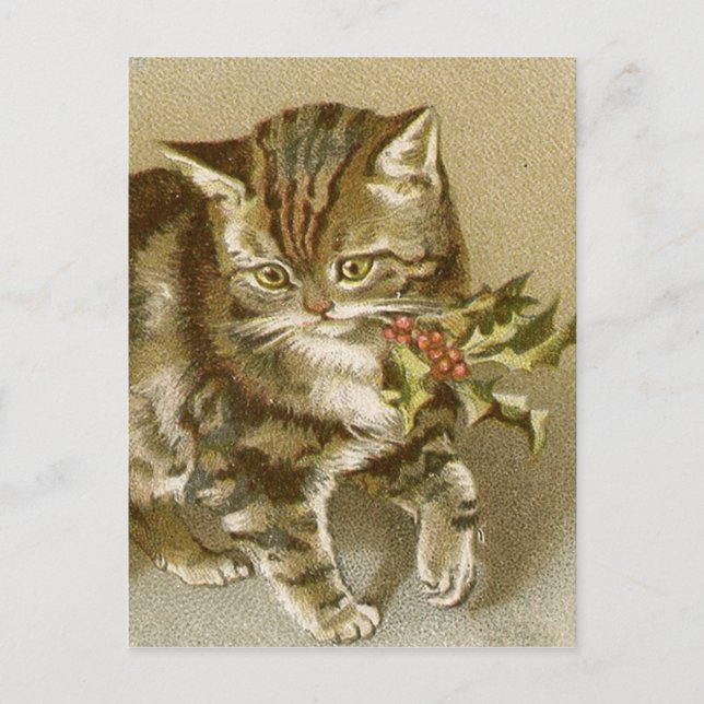 Postkarte:  Kitty mit Holly Sprig Postkarte (Vorderseite)