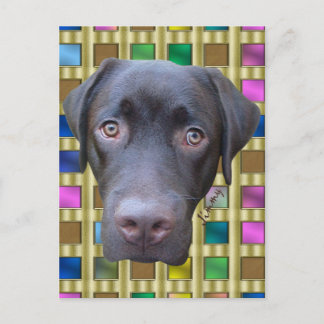 Postkarte Labrador Jimmy