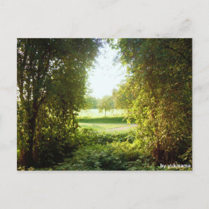 Postkarte - Laubfenster