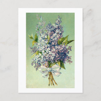 Postkarte: Lieblicher Lavendel Postkarte