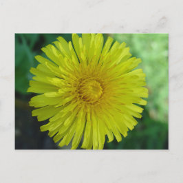 Postkarte - Lüster