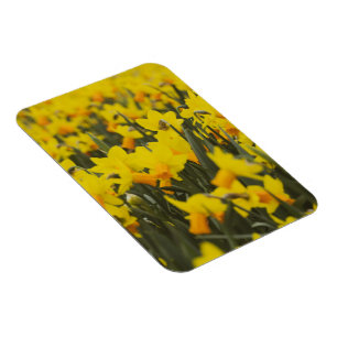Postkarte Magnet