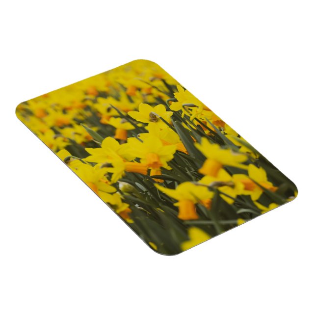 Postkarte Magnet (Rechte Seite)