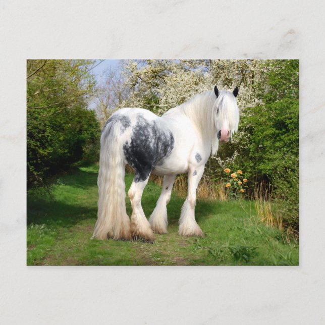 Postkarte "Mirabeau" (Vorderseite)