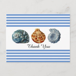 Postkarte mit blauem Streifen und Meeresmuscheln