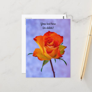 Postkarte mit einer orange-gelben Rose
