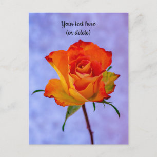 Postkarte mit einer orange-gelben Rose