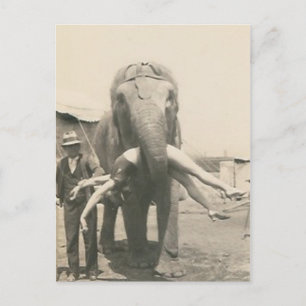 Postkarte mit Elefant mit Mädchen im Maul