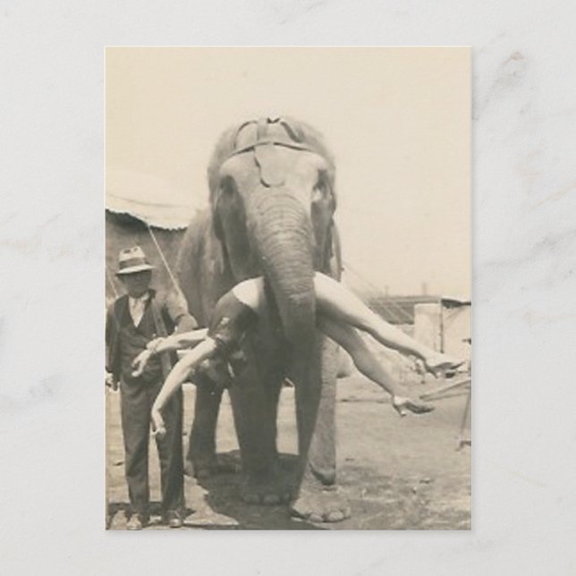 Postkarte mit Elefant mit Mädchen im Maul (Vorderseite)