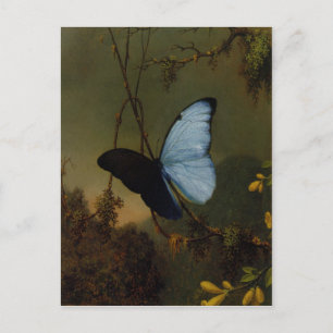 Postkarte mit Gemälde von Martin Johnson Heade