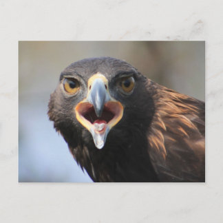 Postkarte mit Golden Eagle