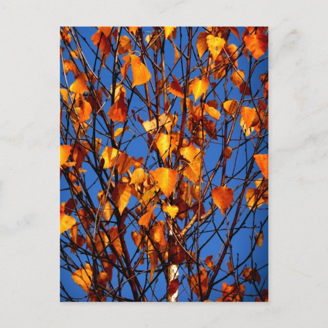 Postkarte mit Herbstblättern (Vorderseite)