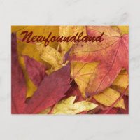 Postkarte mit Herbstblättern aus Neufundland
