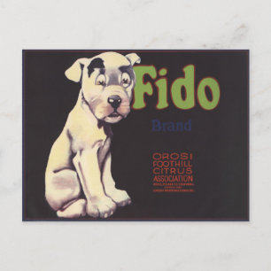 Postkarte mit Niedlichem Hund auf Lemon-Kiste Etik