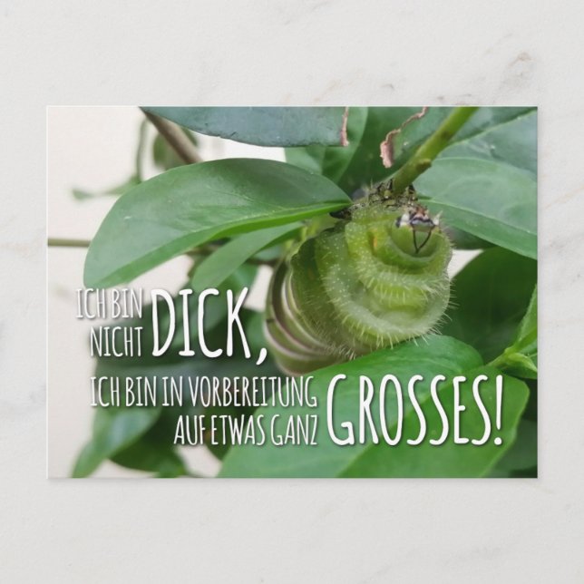 Postkarte mit Raupe & Humor  (Vorderseite)