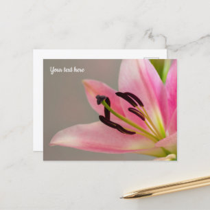 Postkarte mit rosa Lilie