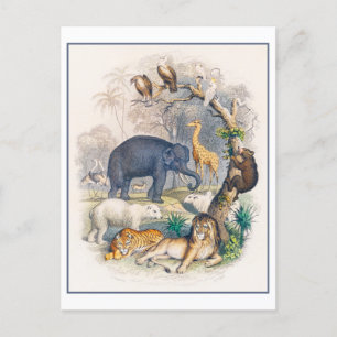 Postkarte mit Vintage-Illustration des Tierreichs