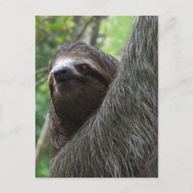 Postkarte mit zwei Zehen (Vorderseite)