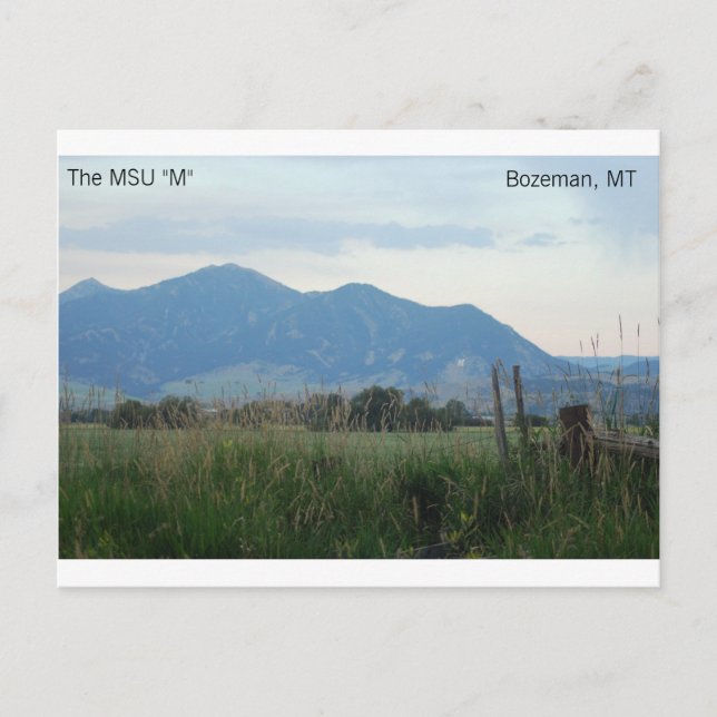 Postkarte MSU "M" (Vorderseite)
