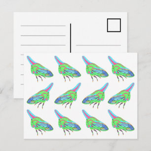 Postkarte (Muster weiß) - Eichen-Zikade
