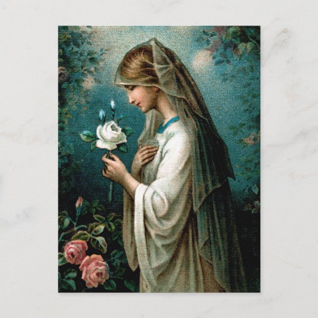 Postkarte: Mystische Rose Postkarte (Vorderseite)