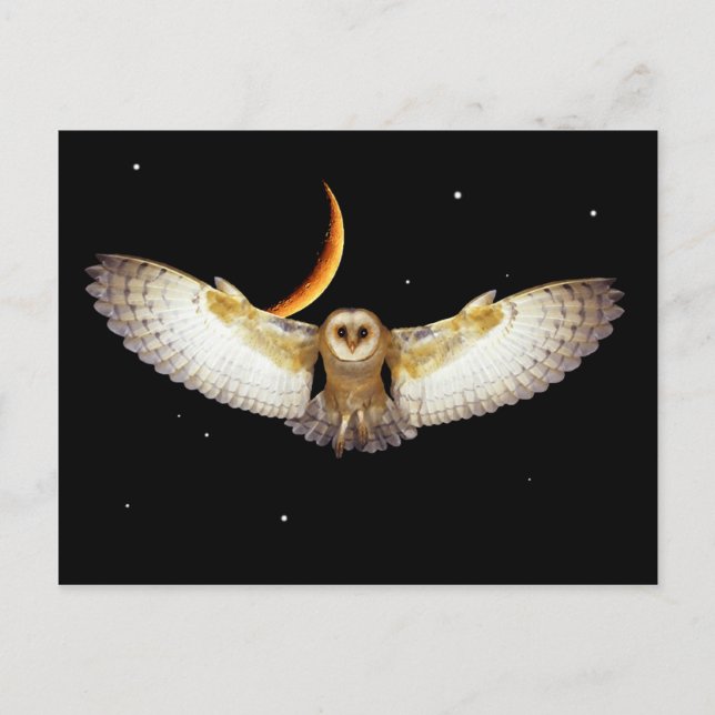 Postkarte "Nachtflug" (Vorderseite)