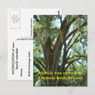 Postkarte - Neues Familienmitglied