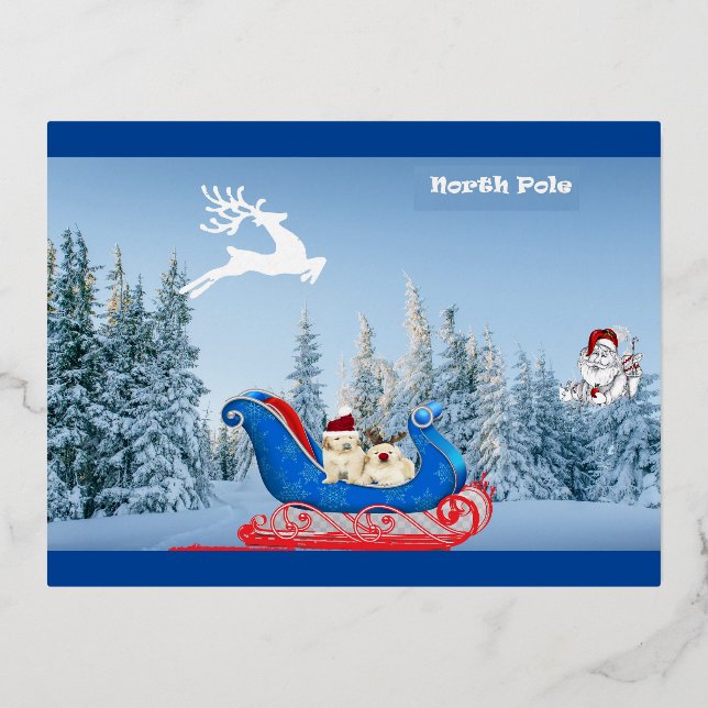 Postkarte NordPole (Vorderseite)