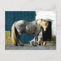 Postkarte "Odin & The Twins"