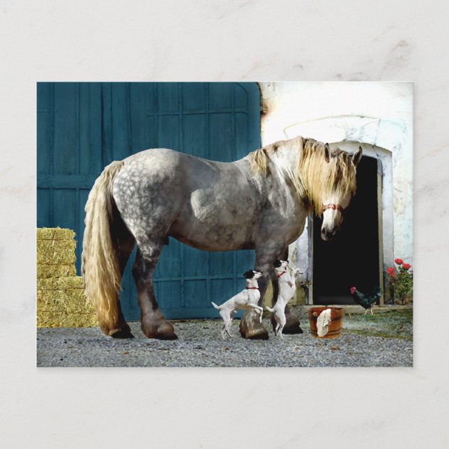 Postkarte "Odin & The Twins" (Vorderseite)