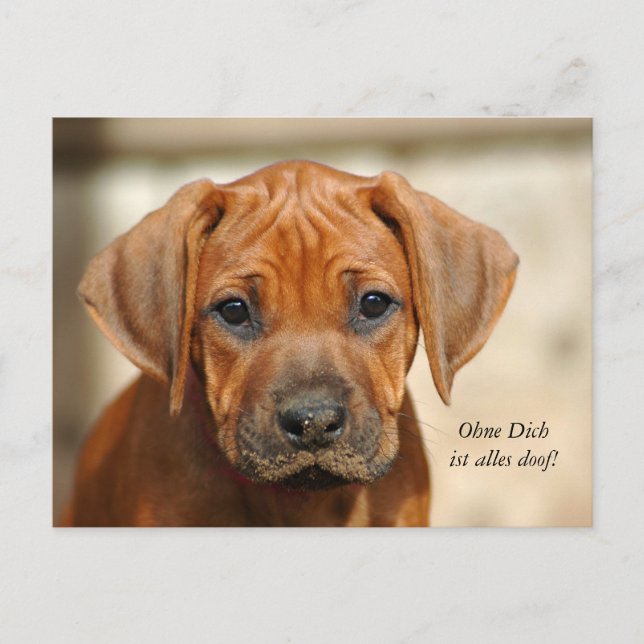 Postkarte "Ohne Dich ist alles doof!" (Vorderseite)