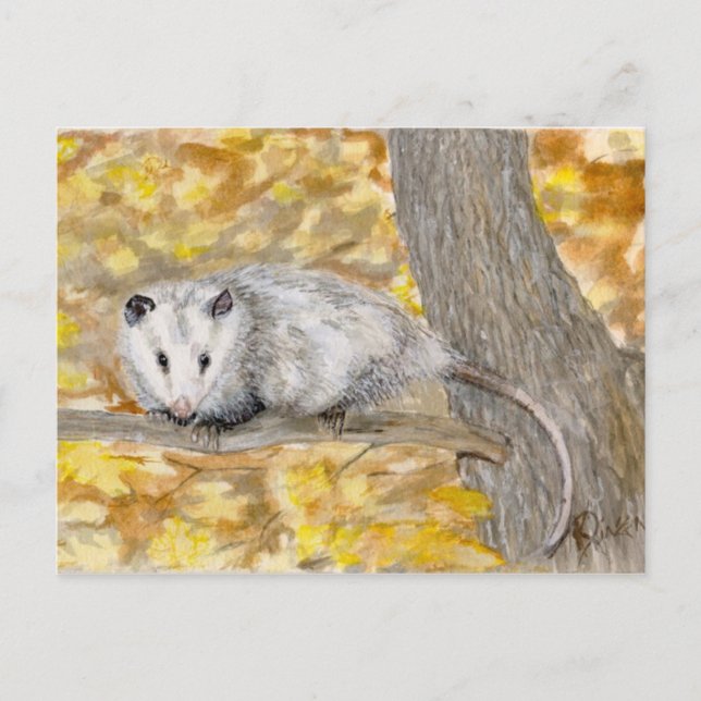 Postkarte Opossum (Vorderseite)